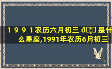 １９９１农历六月初三 🦉 是什么星座,1991年农历6月初三出生是什么命